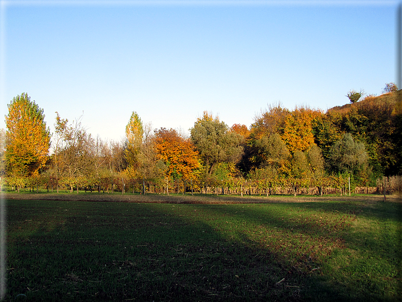 foto Paesaggi Autunnali tra le colline Fontesi